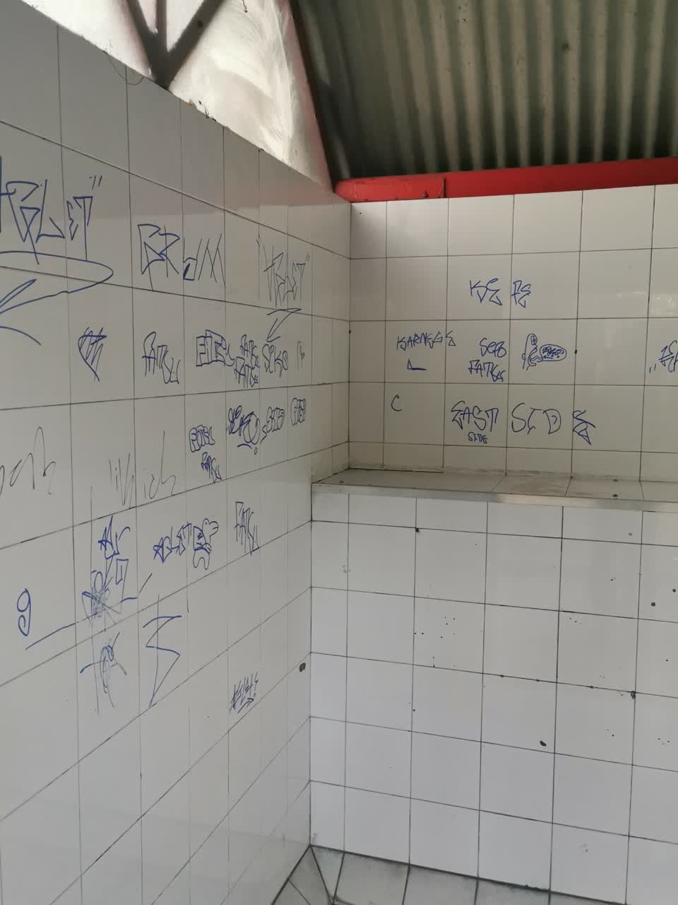 The photograph attached to this public toilet report