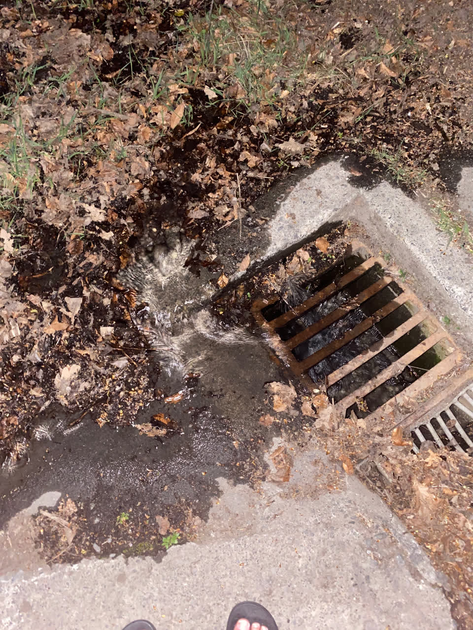 The photograph attached to this water leak report