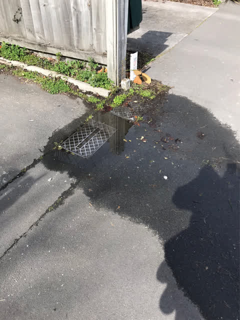Water Leak, a report photo