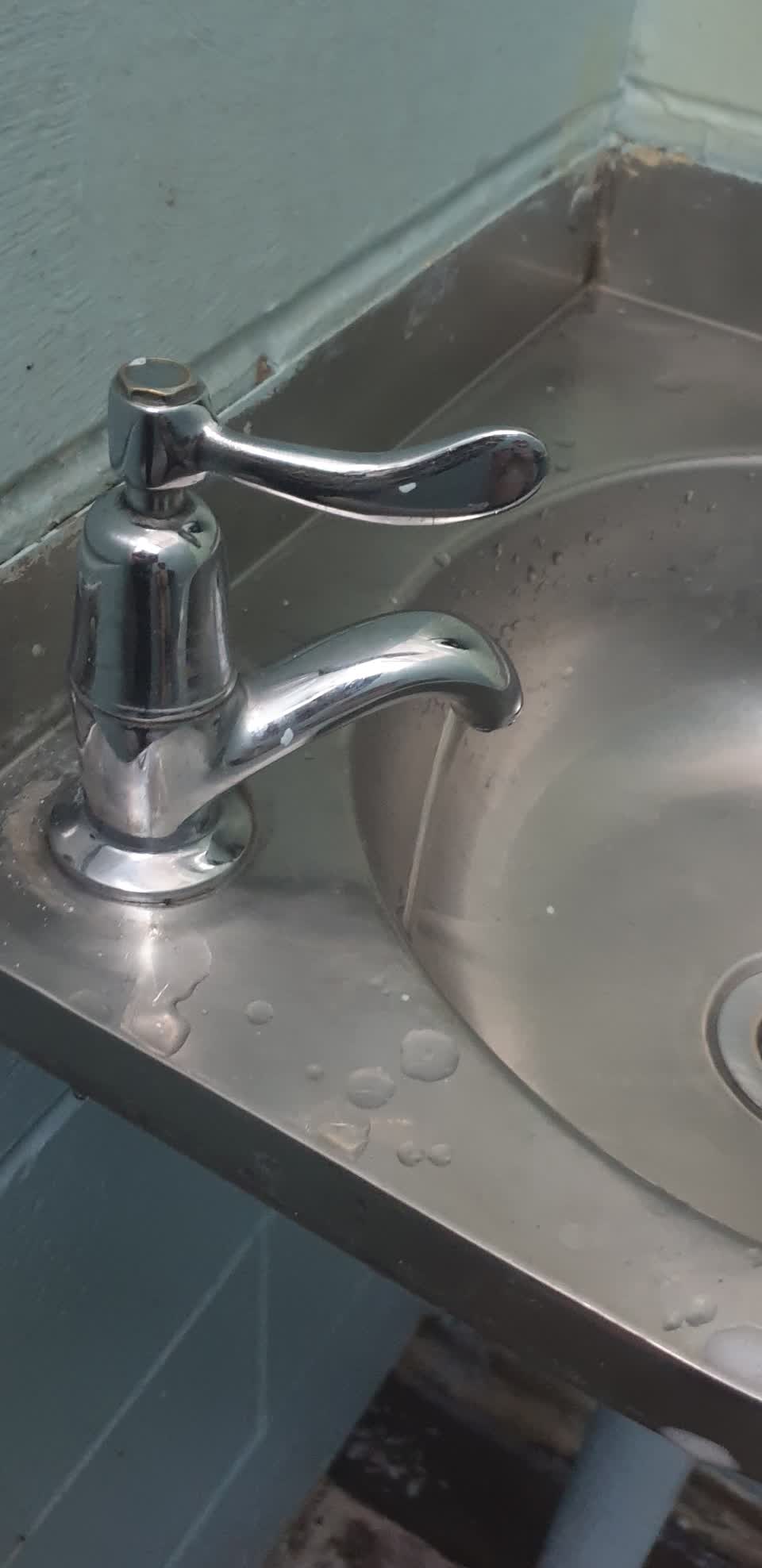 The photograph attached to this public toilet report