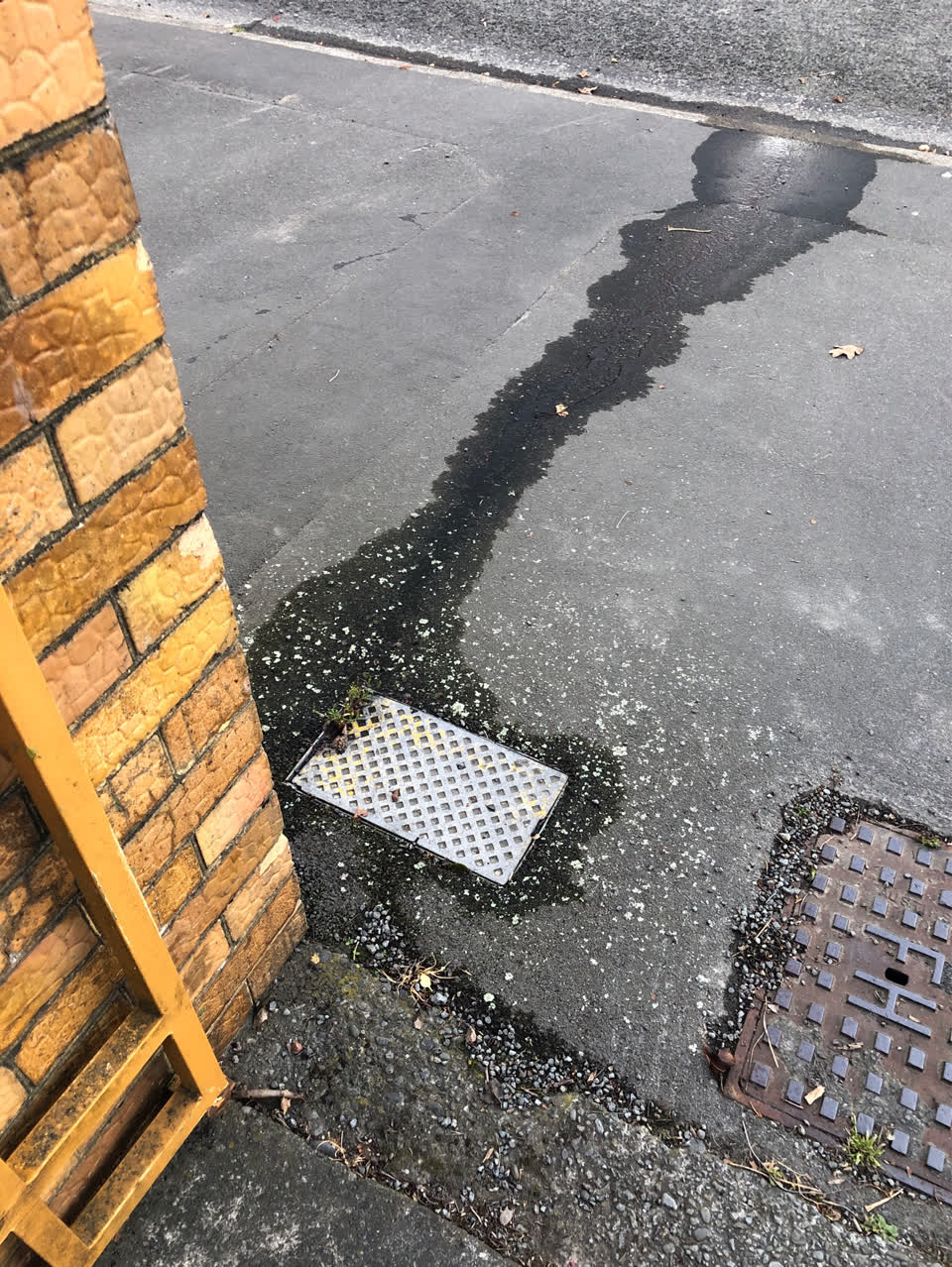 The photograph attached to this water leak report