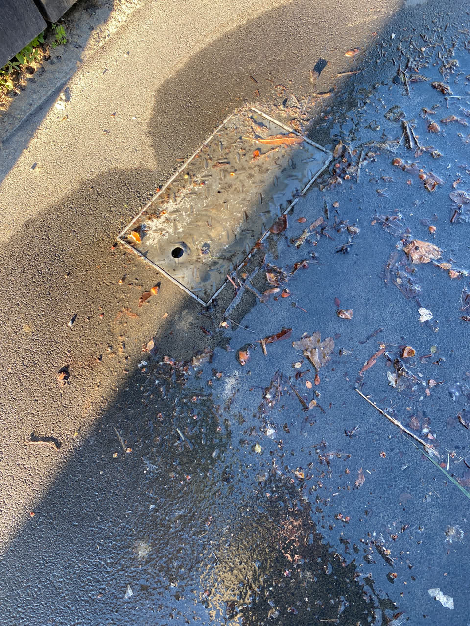 The photograph attached to this water leak report