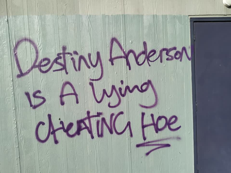 The photograph attached to this graffiti report
