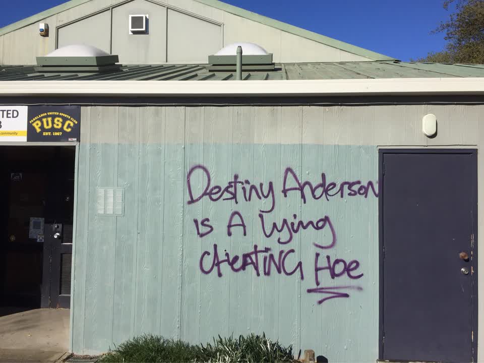 The photograph attached to this graffiti report