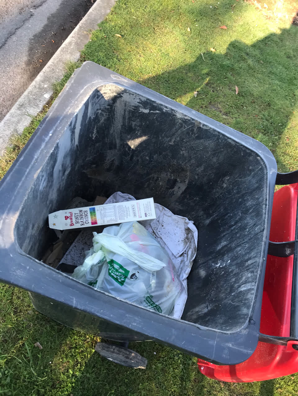 The photograph attached to this rubbish and bins - general report