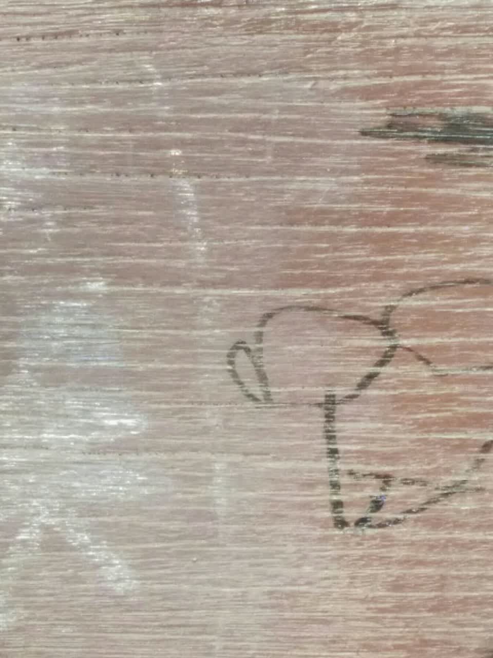 The photograph attached to this graffiti - public property report