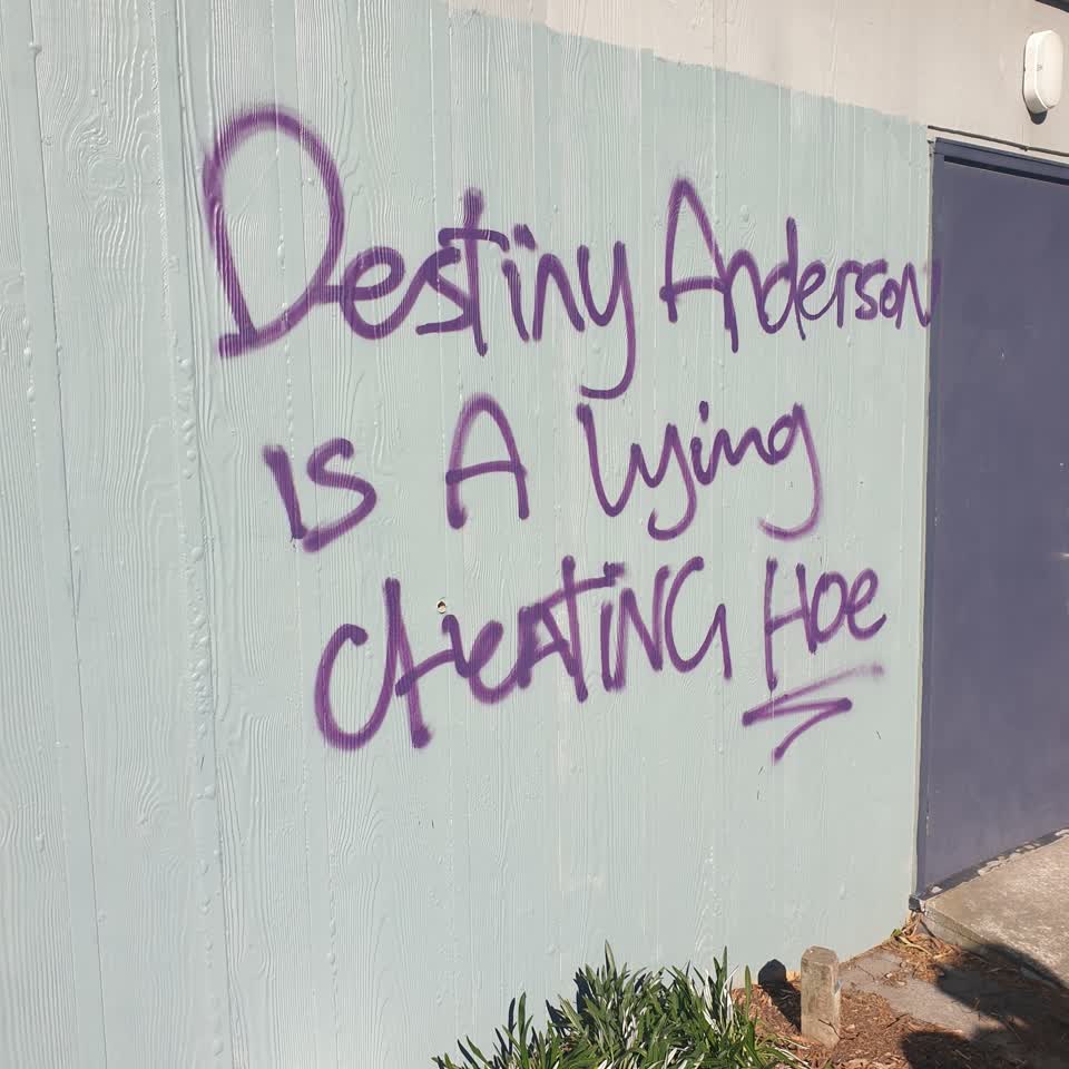 The photograph attached to this graffiti report