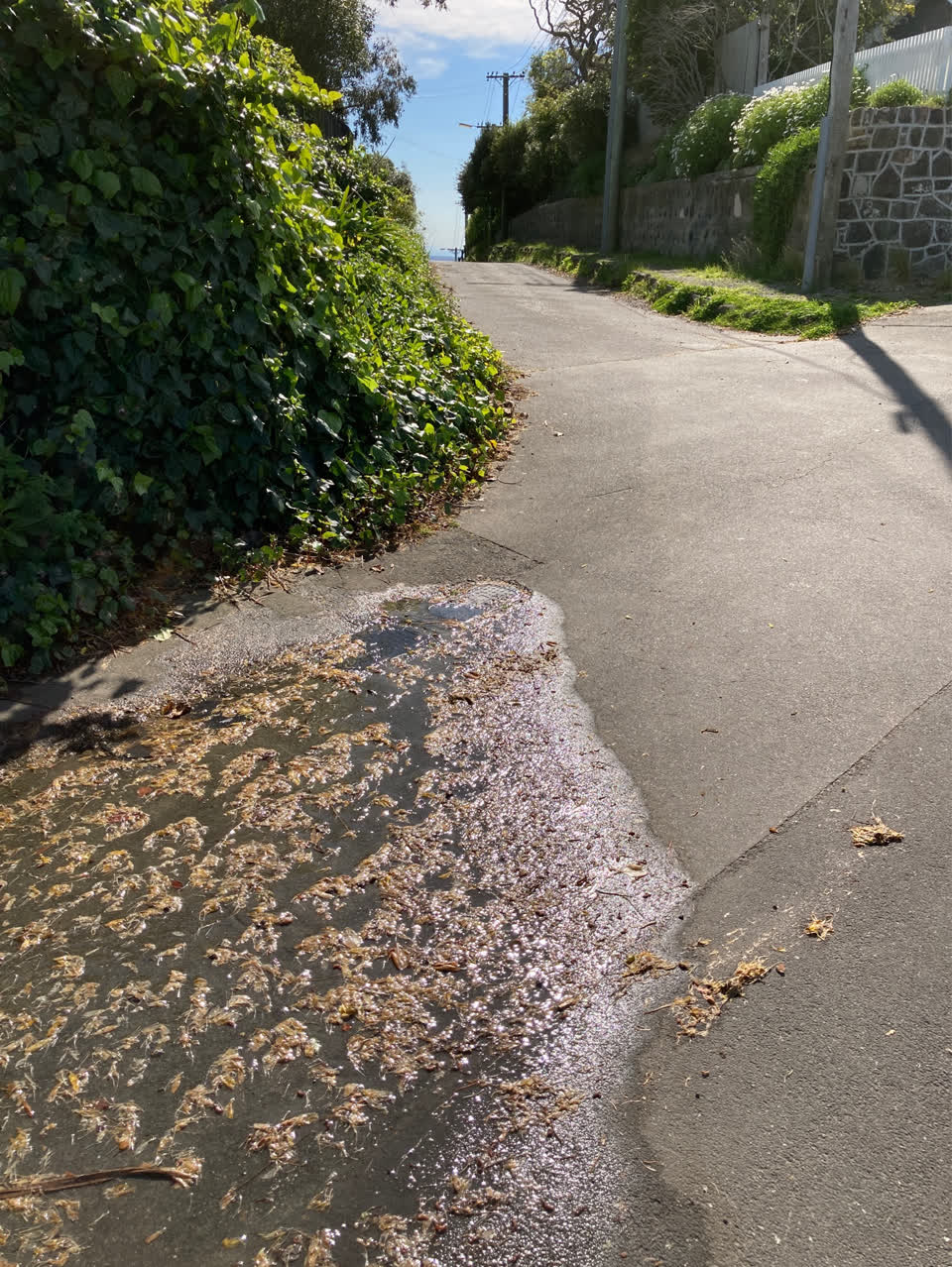The photograph attached to this water leak report
