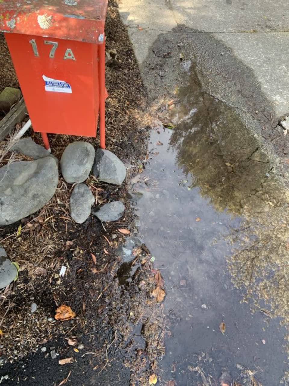 The photograph attached to this water leak report