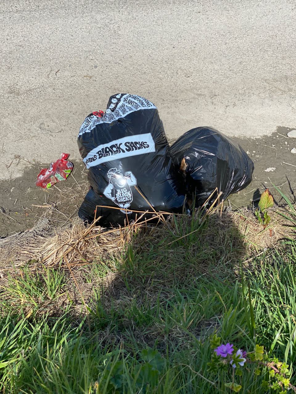 The photograph attached to this dumped rubbish report