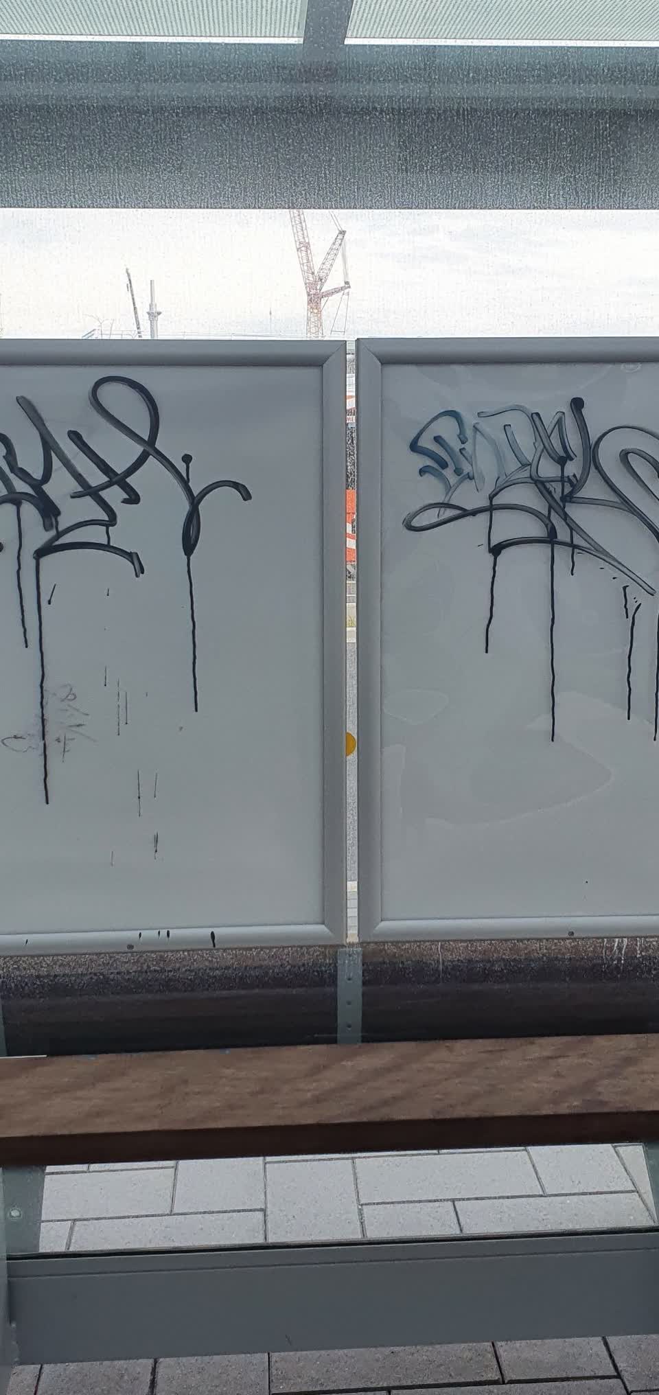 The photograph attached to this graffiti - public property report