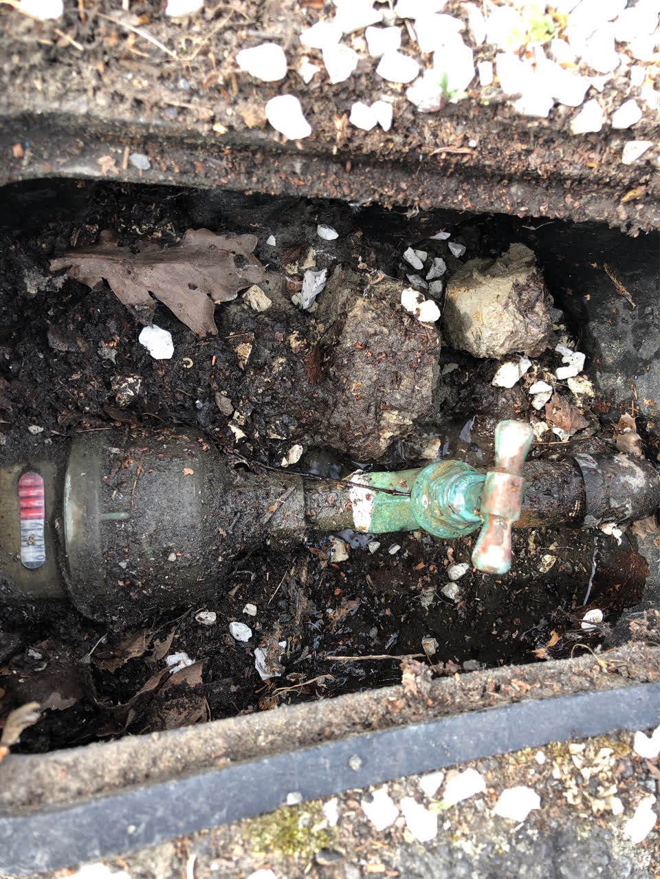 The photograph attached to this water leak report
