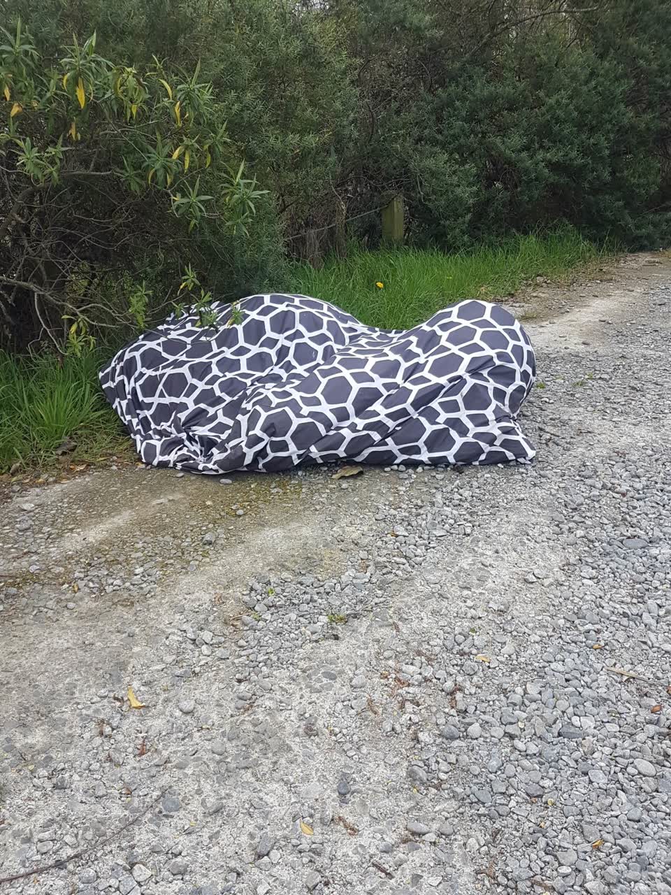 The photograph attached to this dumped rubbish report