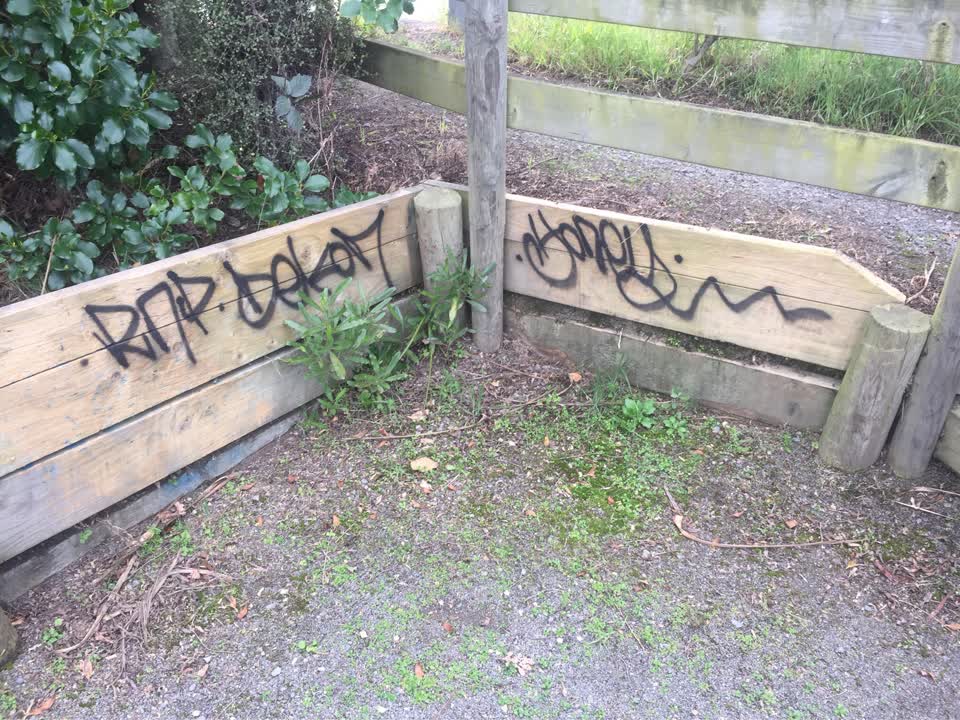 The photograph attached to this graffiti - public property report
