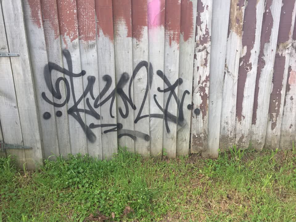 The photograph attached to this graffiti - public property report