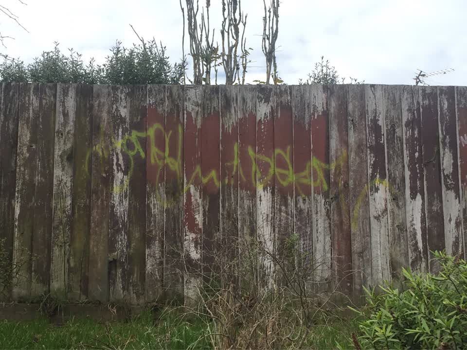 The photograph attached to this graffiti - public property report