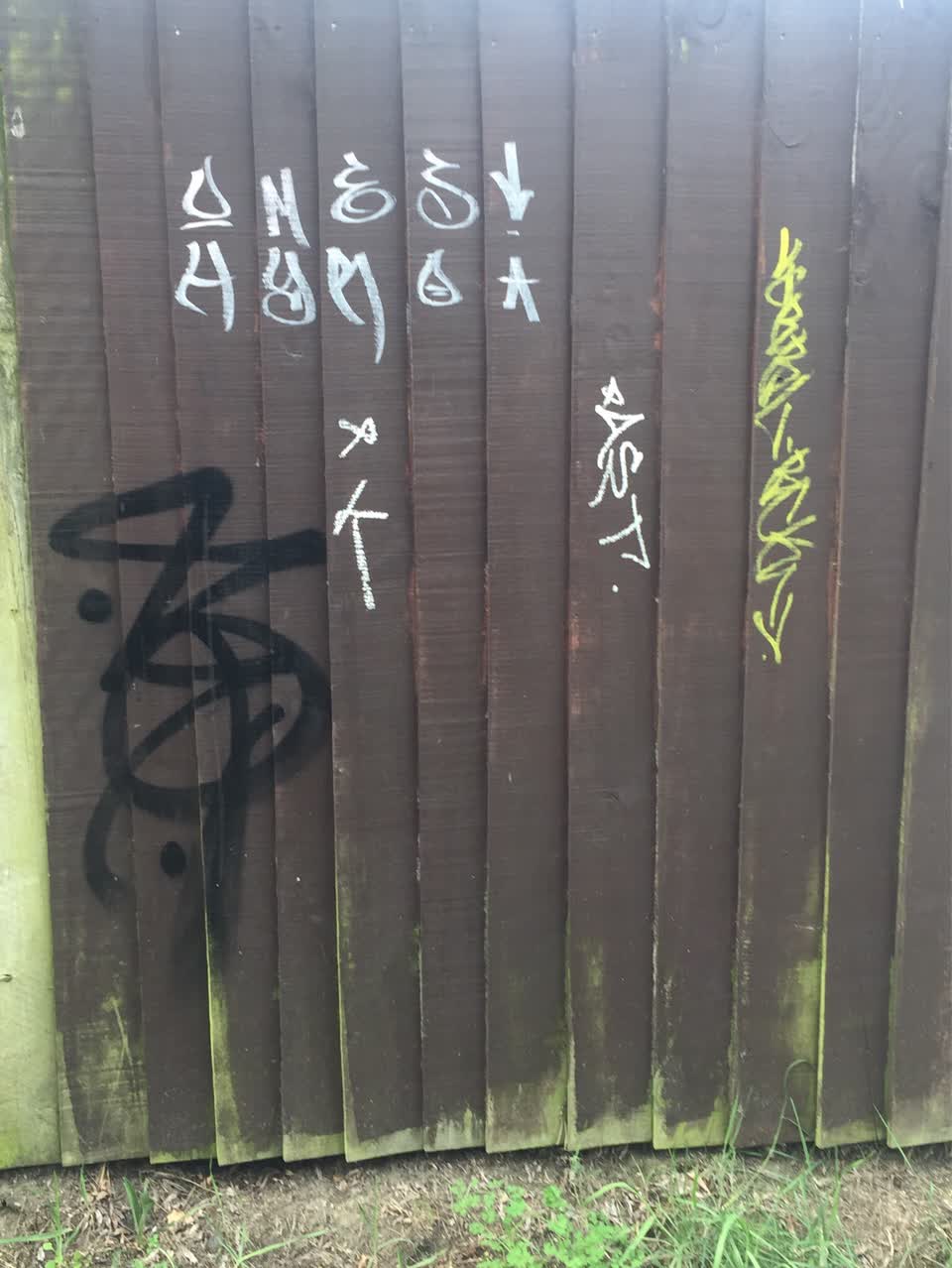 The photograph attached to this graffiti - public property report