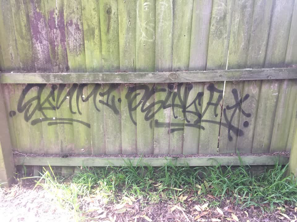 The photograph attached to this graffiti report
