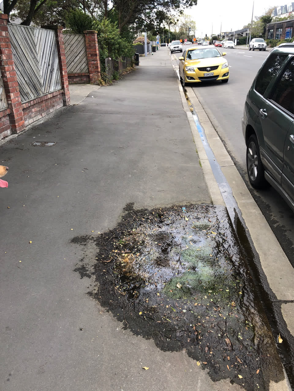 The photograph attached to this water leak report