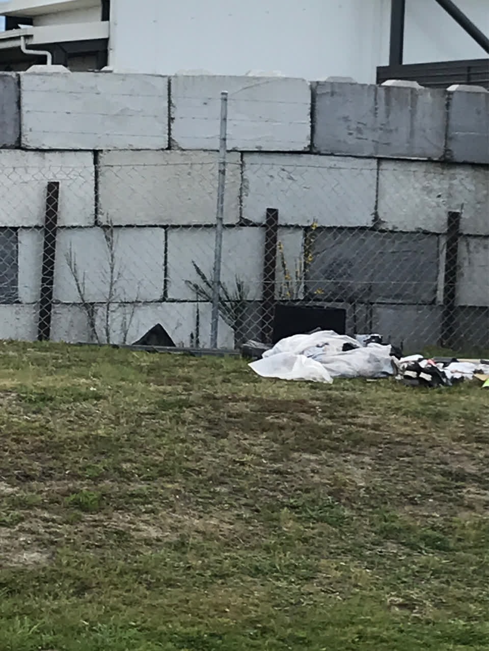 The photograph attached to this dumped rubbish report