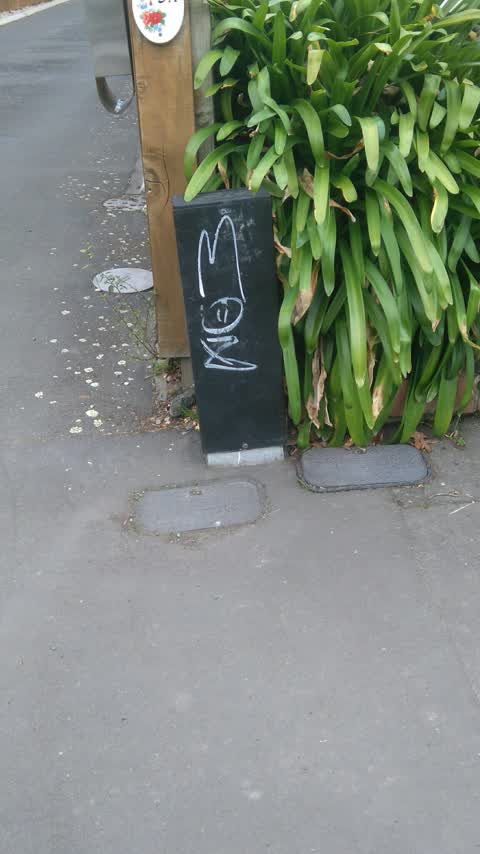 Graffiti, a report photo