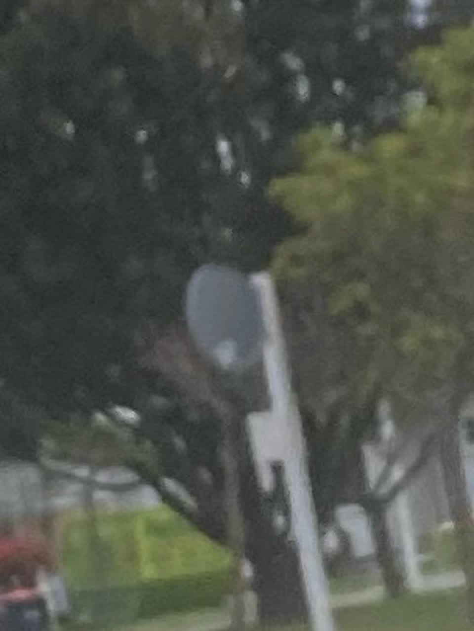 The photograph attached to this graffiti - signage report