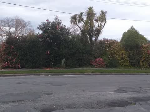 Dumped Rubbish, a report photo