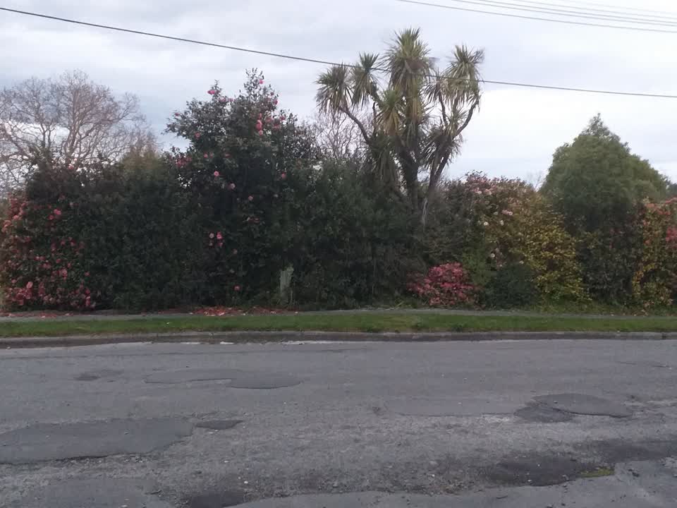 The photograph attached to this dumped rubbish report