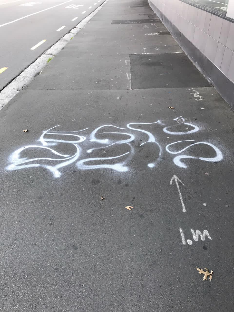The photograph attached to this graffiti - public property report