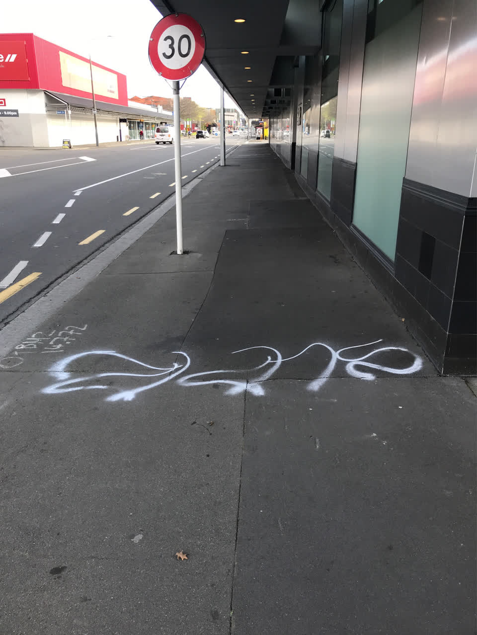 The photograph attached to this graffiti - public property report