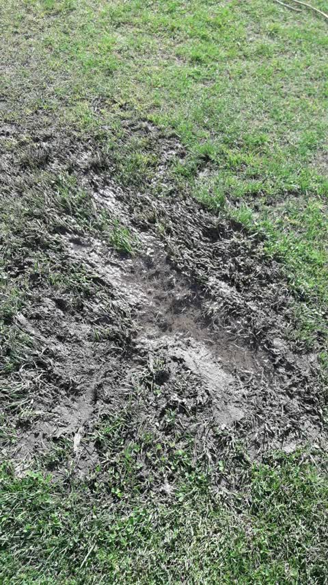 Parks, a report photo