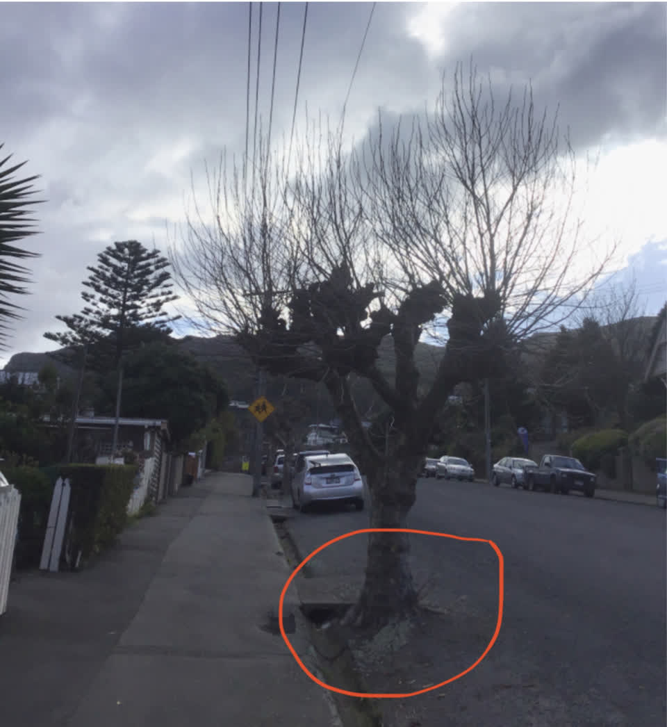 The photograph attached to this roads - general report