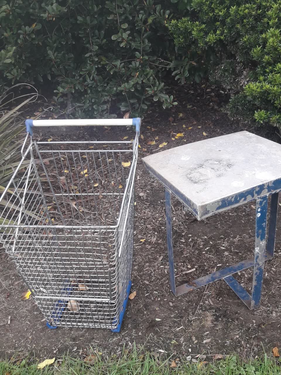 The photograph attached to this dumped rubbish report