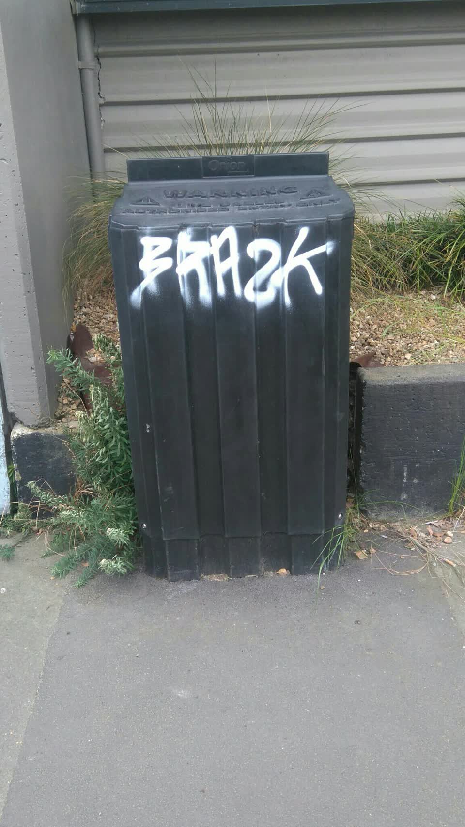 The photograph attached to this graffiti report