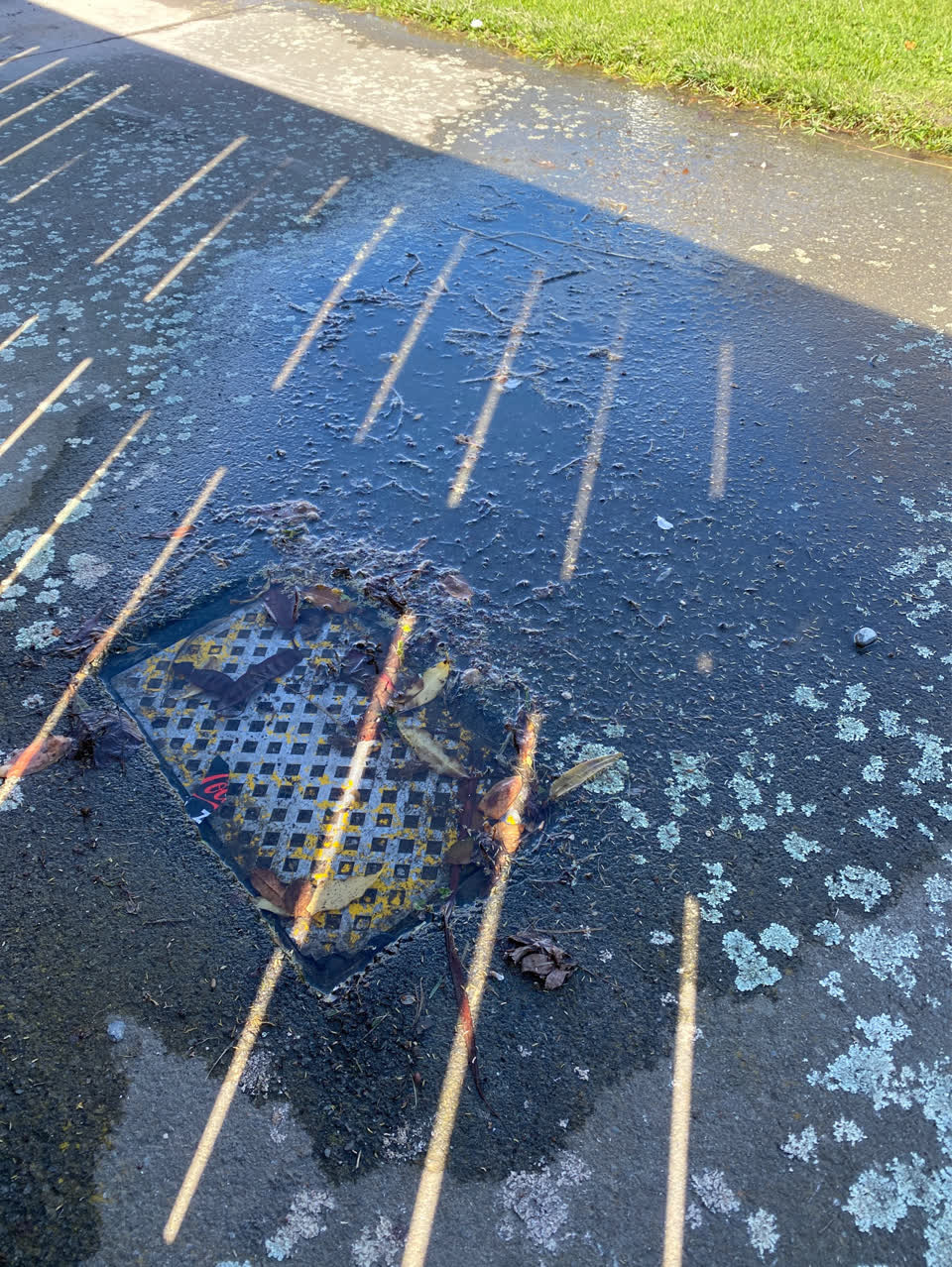 The photograph attached to this flooding report