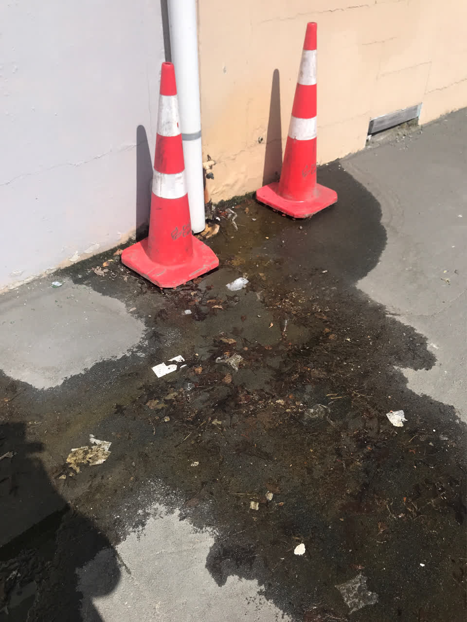 The photograph attached to this water leak report