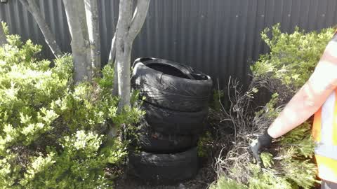 Dumped Rubbish, a report photo