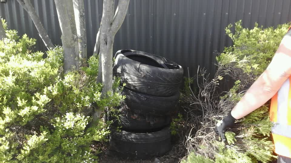 The photograph attached to this dumped rubbish report