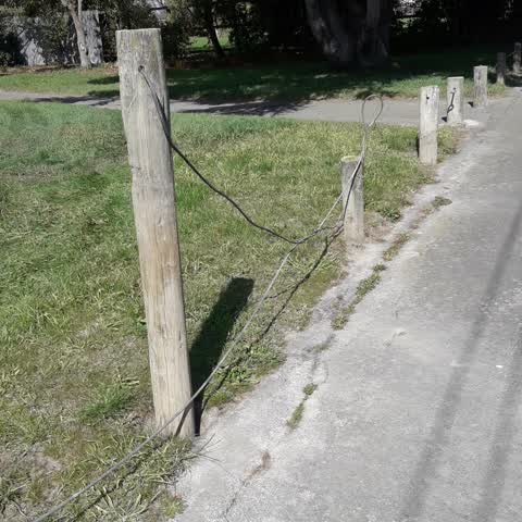 Parks, a report photo