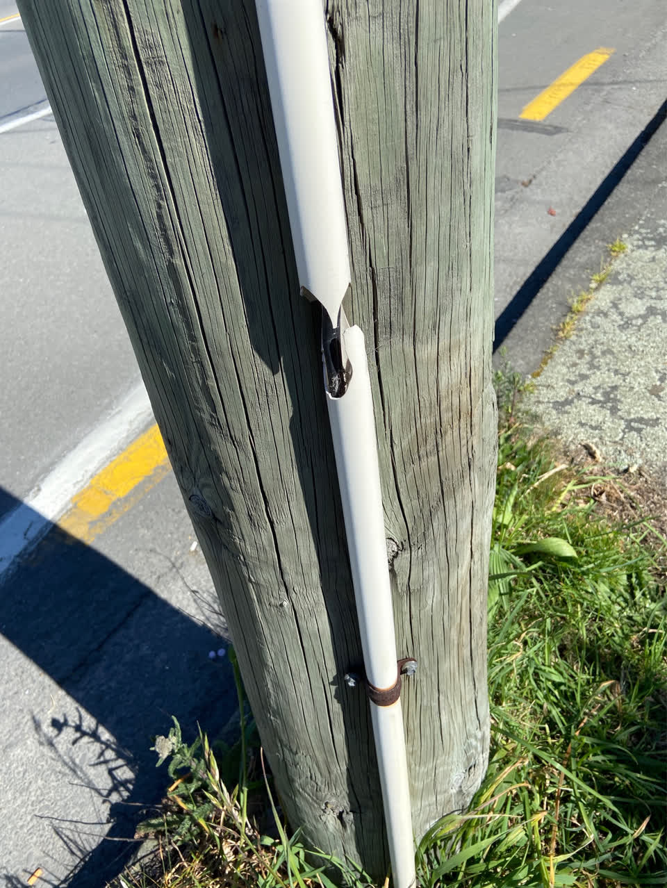 The photograph attached to this vandalism - general report