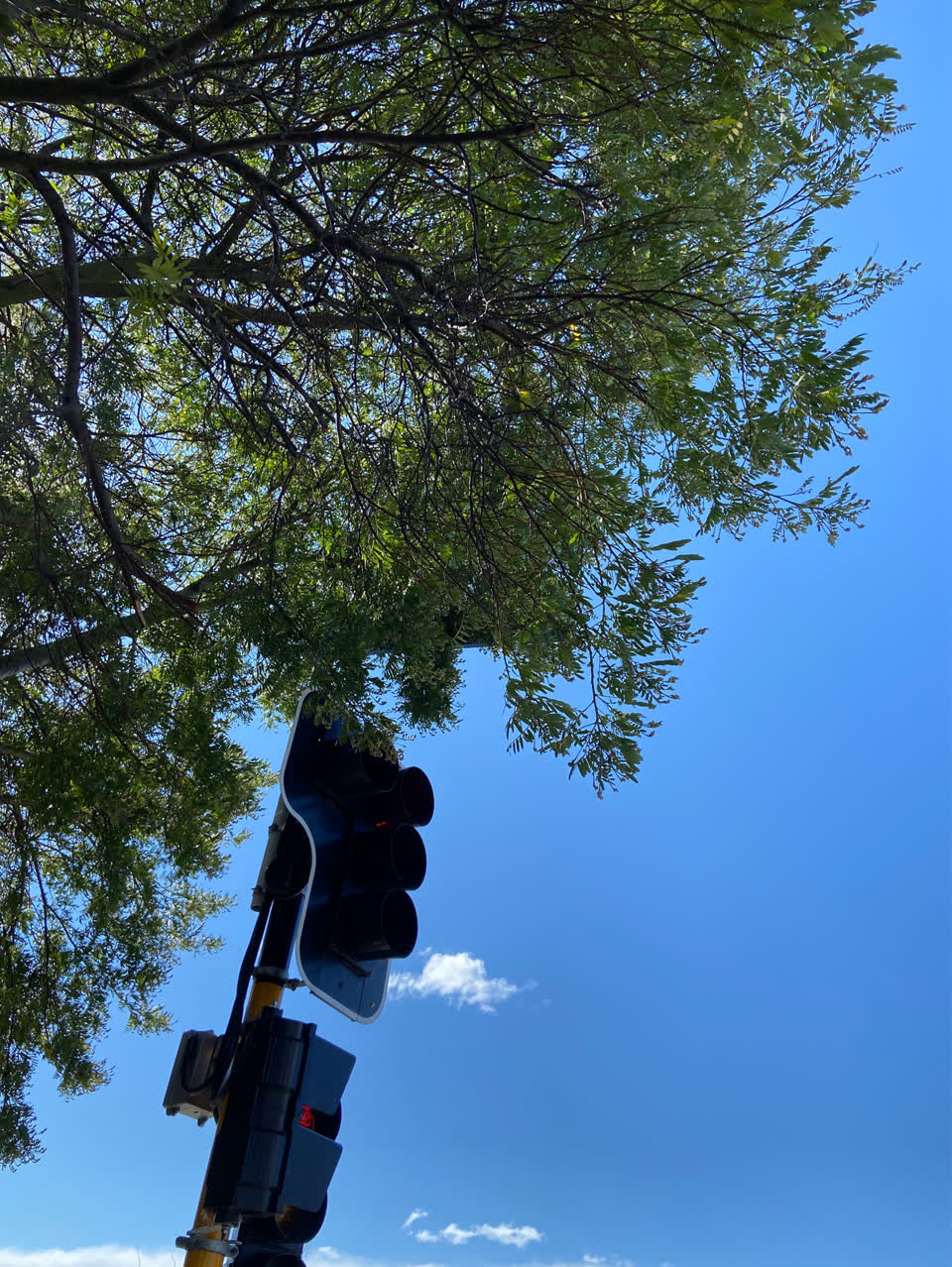The photograph attached to this road signage report