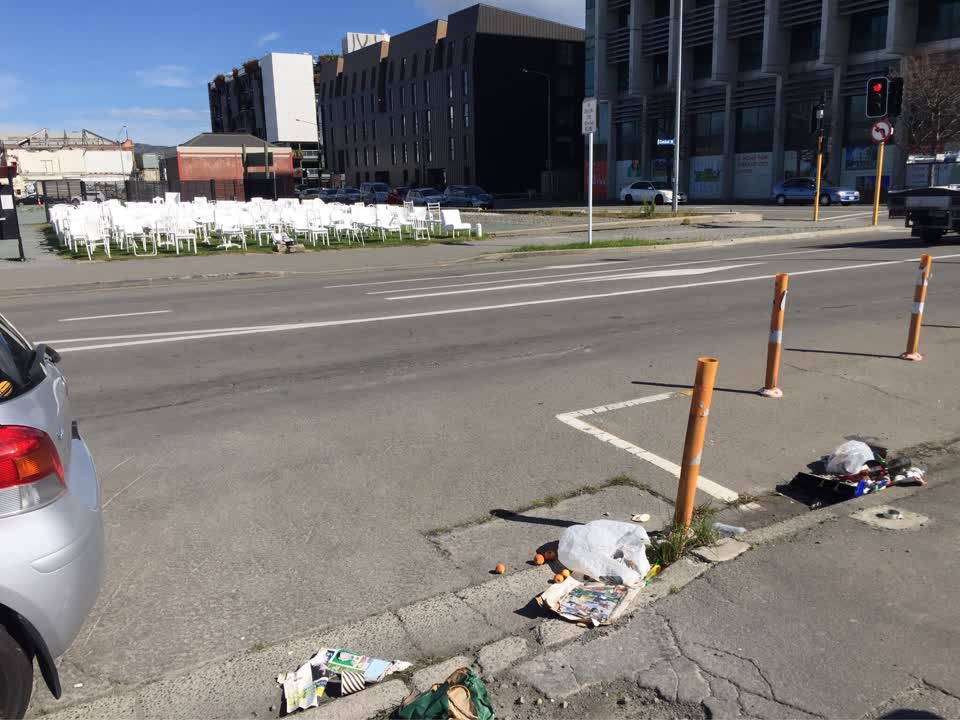 The photograph attached to this litter report