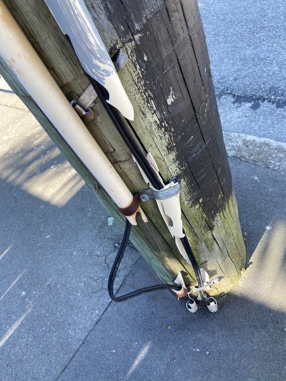 The photograph attached to this vandalism - general report