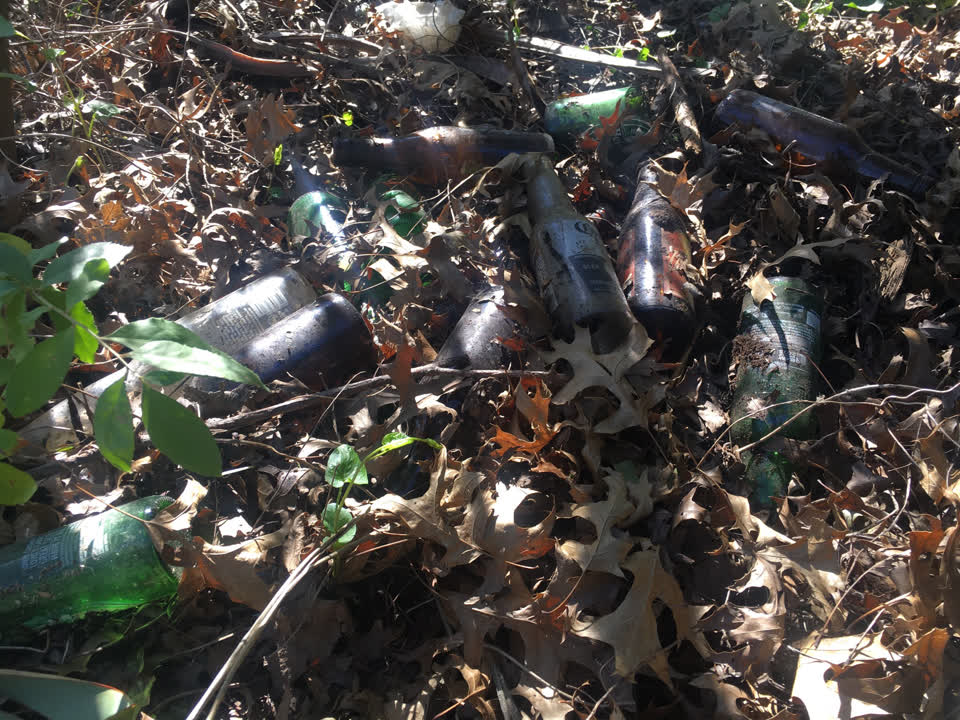 The photograph attached to this dumped rubbish report