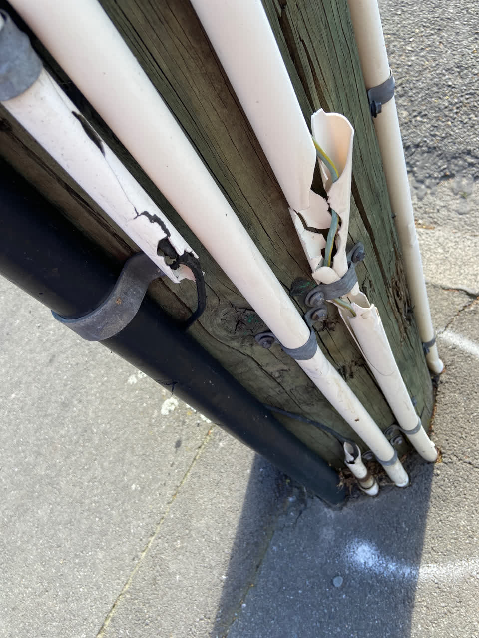 The photograph attached to this vandalism - general report