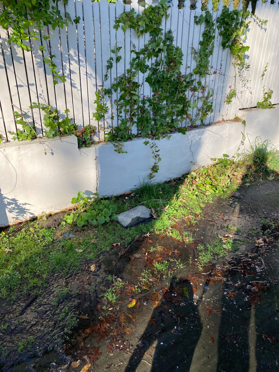The photograph attached to this water supply report