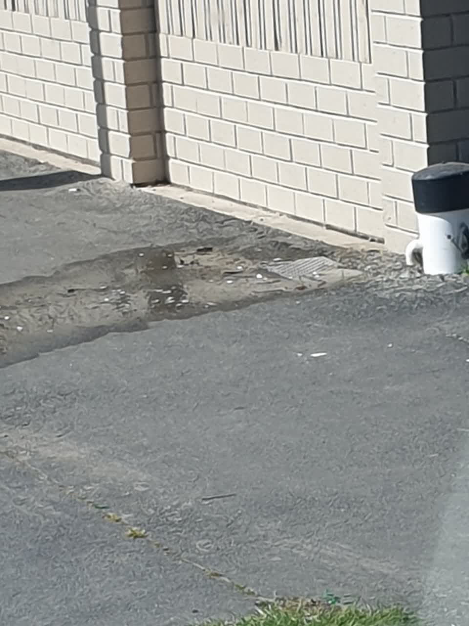 The photograph attached to this water leak report