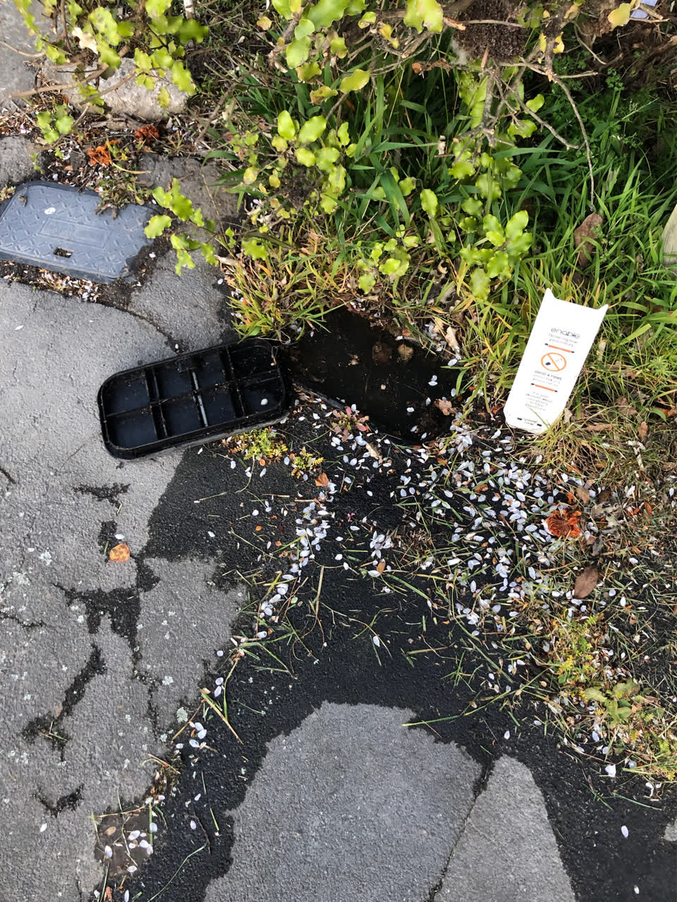 The photograph attached to this water leak report