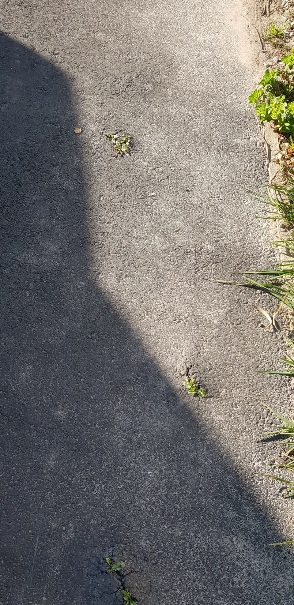 The photograph attached to this pavement - damaged report