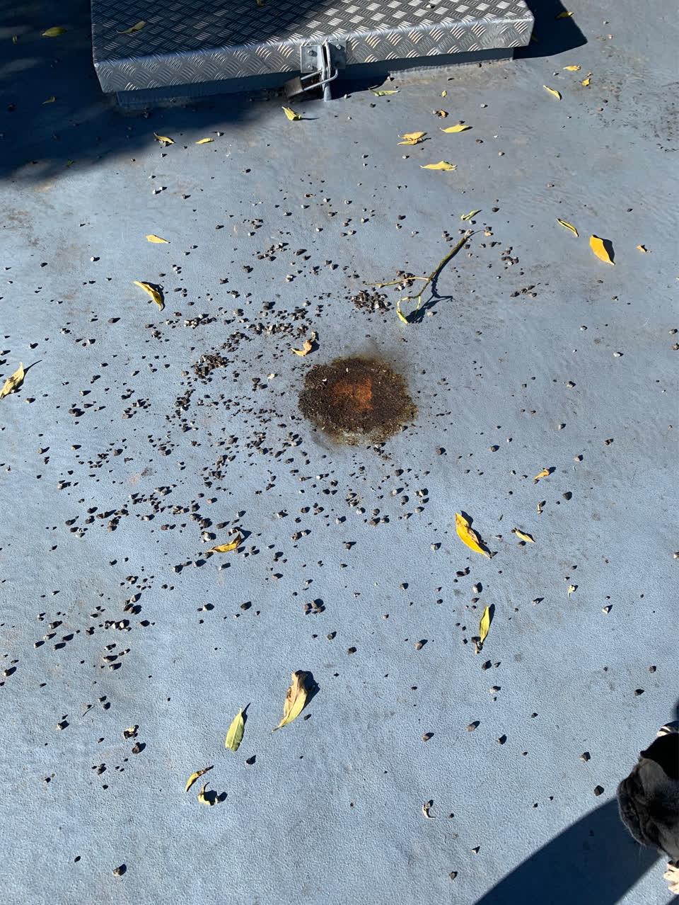 The photograph attached to this vandalism - general report